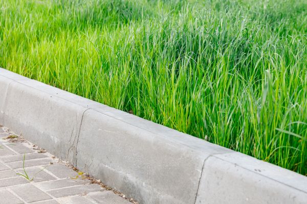 Cost of Concrete Curb Repair in Loveland