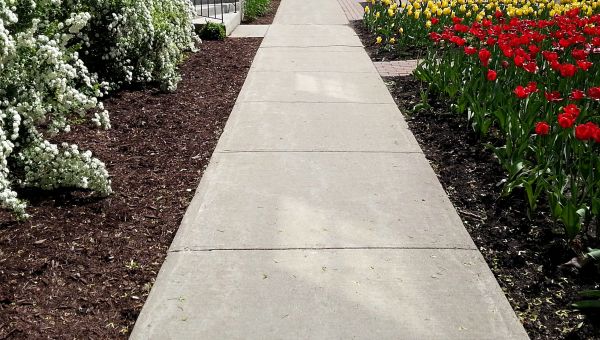 Cost of Concrete Pathway Repair in Loveland