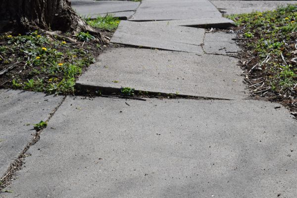 Cost of Trip Hazard Removal in Loveland